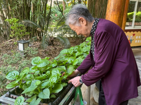 这个“长假”去哪都人山人海?那就来国德尽享闲适自在! 这个“长假”去哪都人山人海?那就来国德尽享闲适自在!