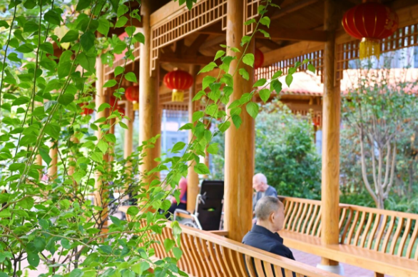 【秋意浓,丹桂香】国德满院甜香,长者乐享“花样”生活! 【秋意浓,丹桂香】国德满院甜香,长者乐享“花样”生活!