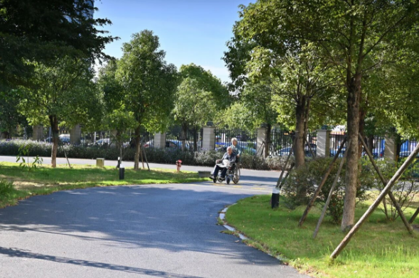 【秋意浓,丹桂香】国德满院甜香,长者乐享“花样”生活! 【秋意浓,丹桂香】国德满院甜香,长者乐享“花样”生活!