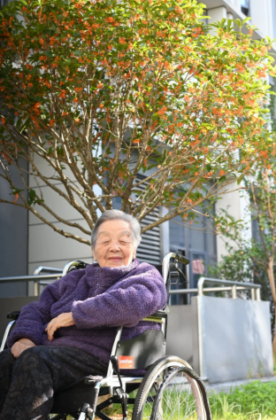 【秋意浓,丹桂香】国德满院甜香,长者乐享“花样”生活! 【秋意浓,丹桂香】国德满院甜香,长者乐享“花样”生活!