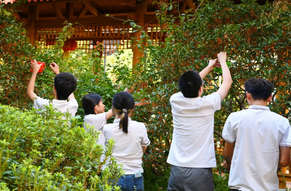 【秋意浓,丹桂香】国德满院甜香,长者乐享“花样”生活! 【秋意浓,丹桂香】国德满院甜香,长者乐享“花样”生活!