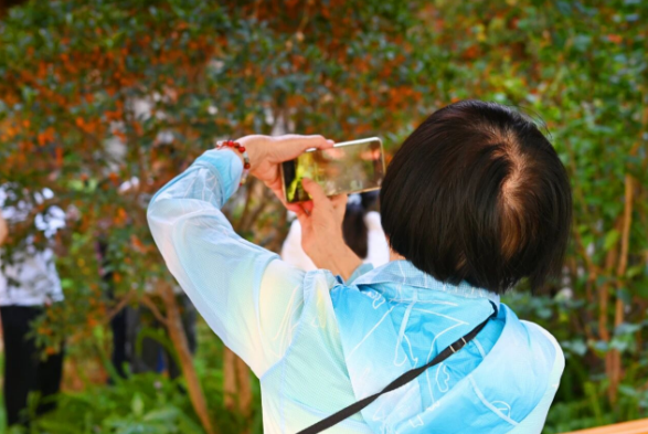 【秋意浓,丹桂香】国德满院甜香,长者乐享“花样”生活! 【秋意浓,丹桂香】国德满院甜香,长者乐享“花样”生活!