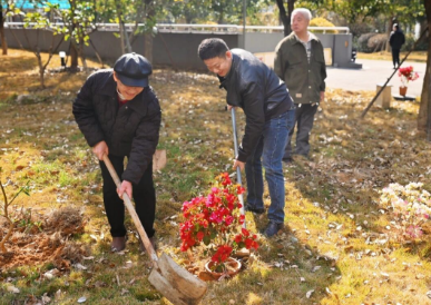 “植” 此青绿!在国德,把春天 “种” 成好心情 “植” 此青绿!在国德,把春天 “种” 成好心情