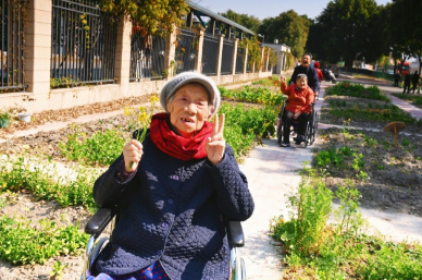 “植” 此青绿!在国德,把春天 “种” 成好心情 “植” 此青绿!在国德,把春天 “种” 成好心情