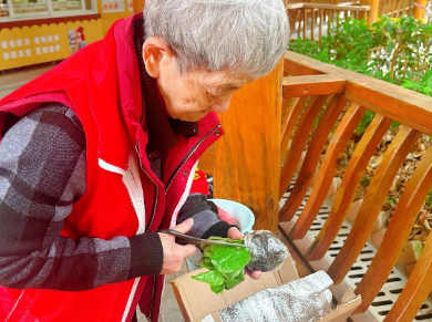 篱笆内的春天——国德长者的小菜园与大欢喜 篱笆内的春天——国德长者的小菜园与大欢喜