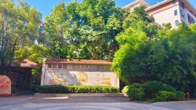 还在谈“院”色变吗？别让“刻板印象”困住父母的晚年！