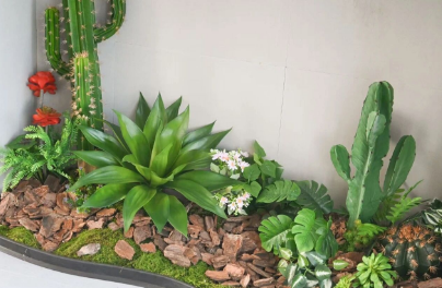 不必下楼，也能遇见春天——国德康养中心的“楼层花园”火了！