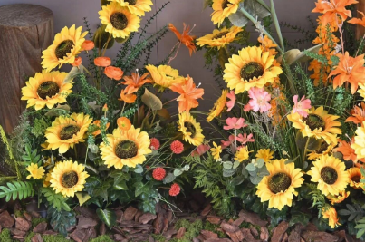 不必下楼，也能遇见春天——国德康养中心的“楼层花园”火了！